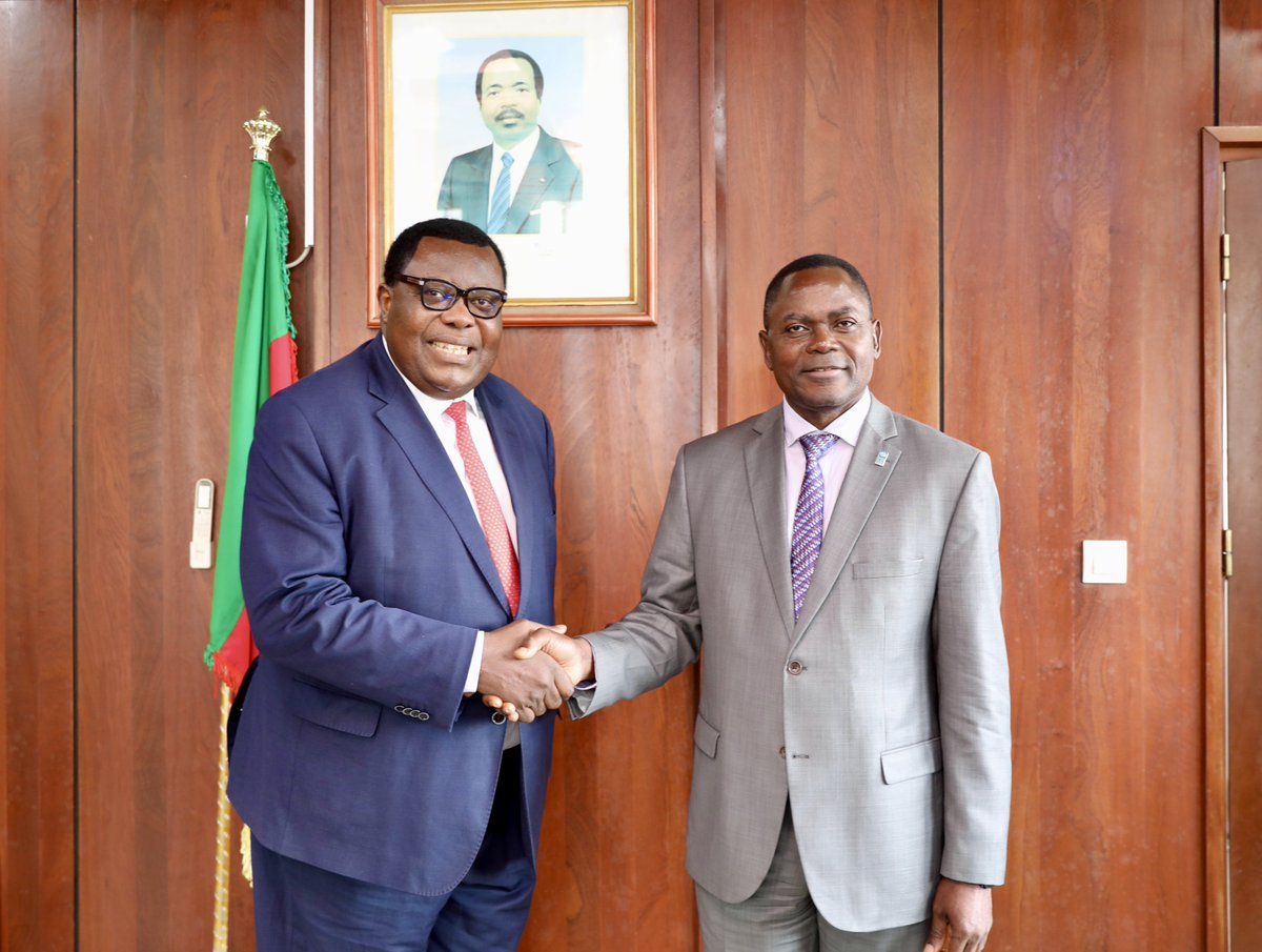 PNUD Cameroun tweet media