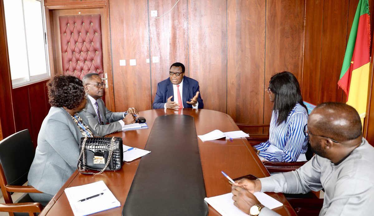 PNUD Cameroun tweet media