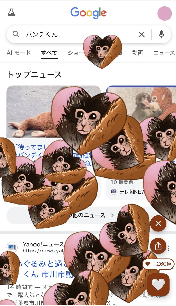 桜文鳥のメッシ tweet media