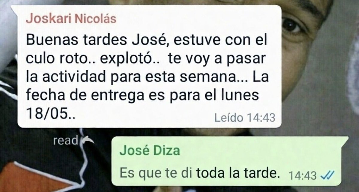 El Curly💎 tweet media