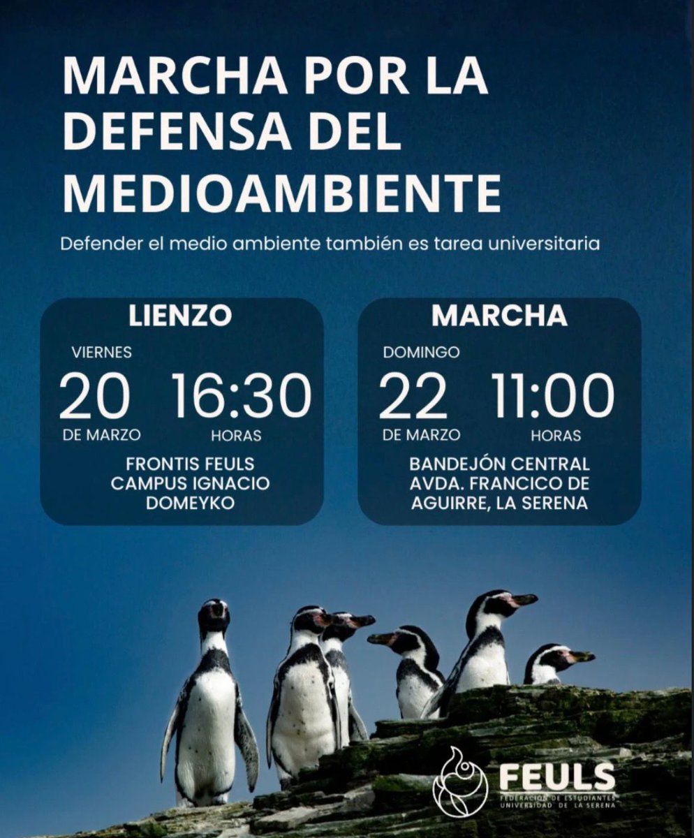 Daniel Nuñez A. tweet media