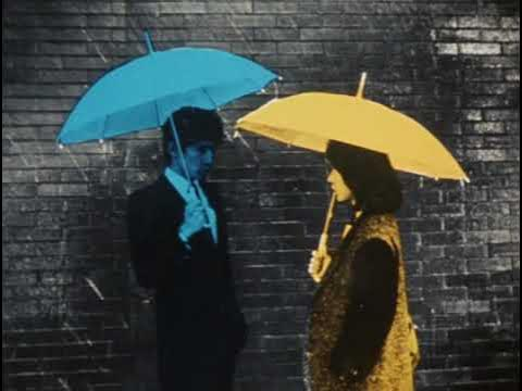 Mal dos Trópikos🦉 tweet media