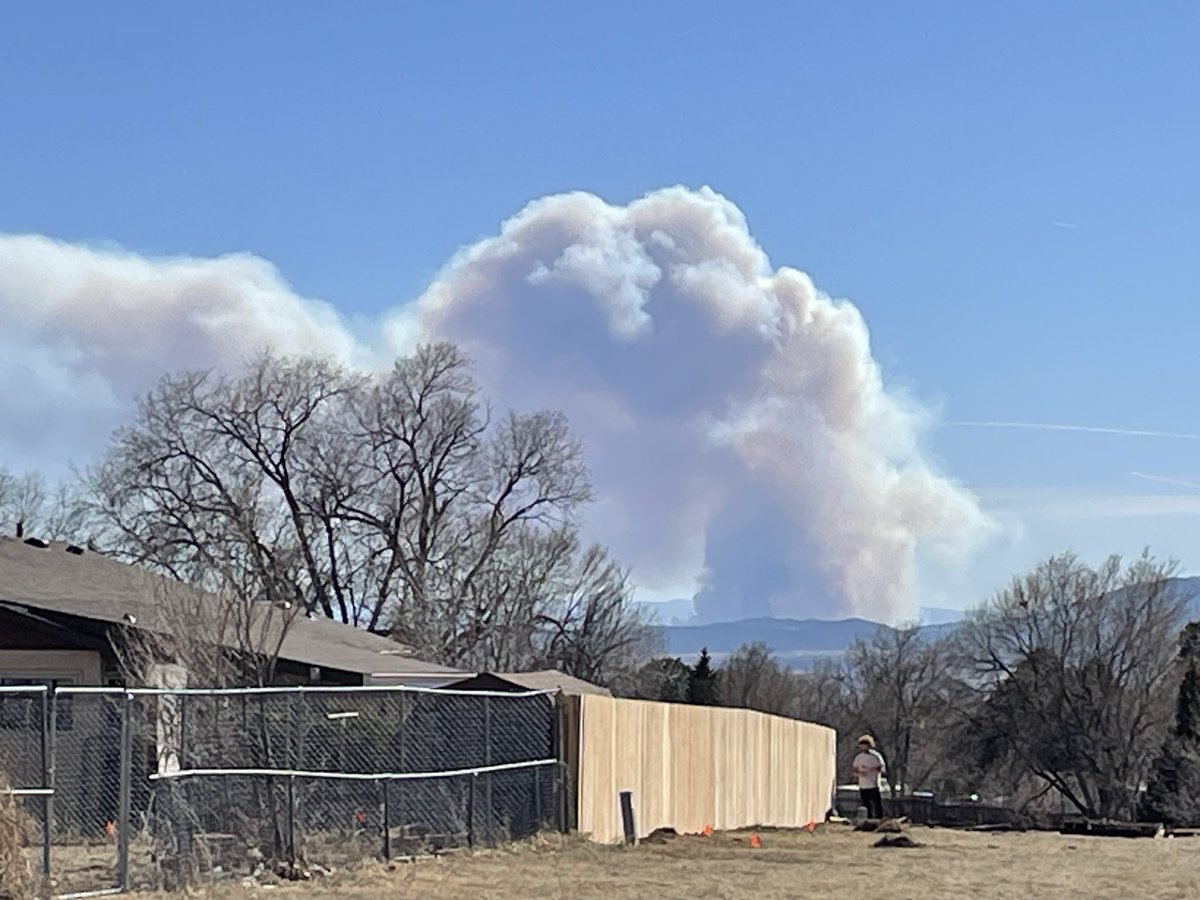 Spencer Dant 🏳️‍🌈🌪️ tweet media