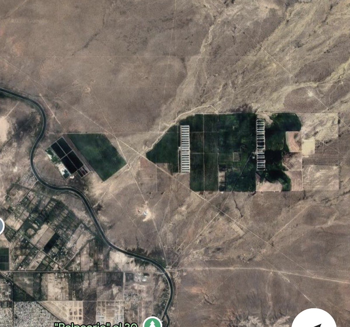 Facu Sonatti tweet media