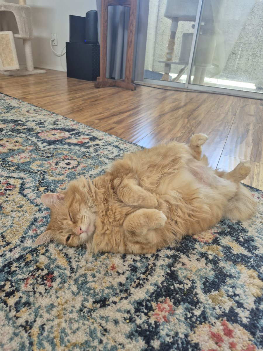 Noodlehead tweet media