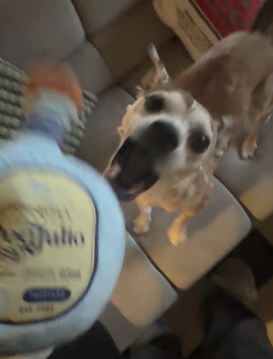 van cweef tweet media