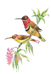 Alexandra Vigneault tweet media