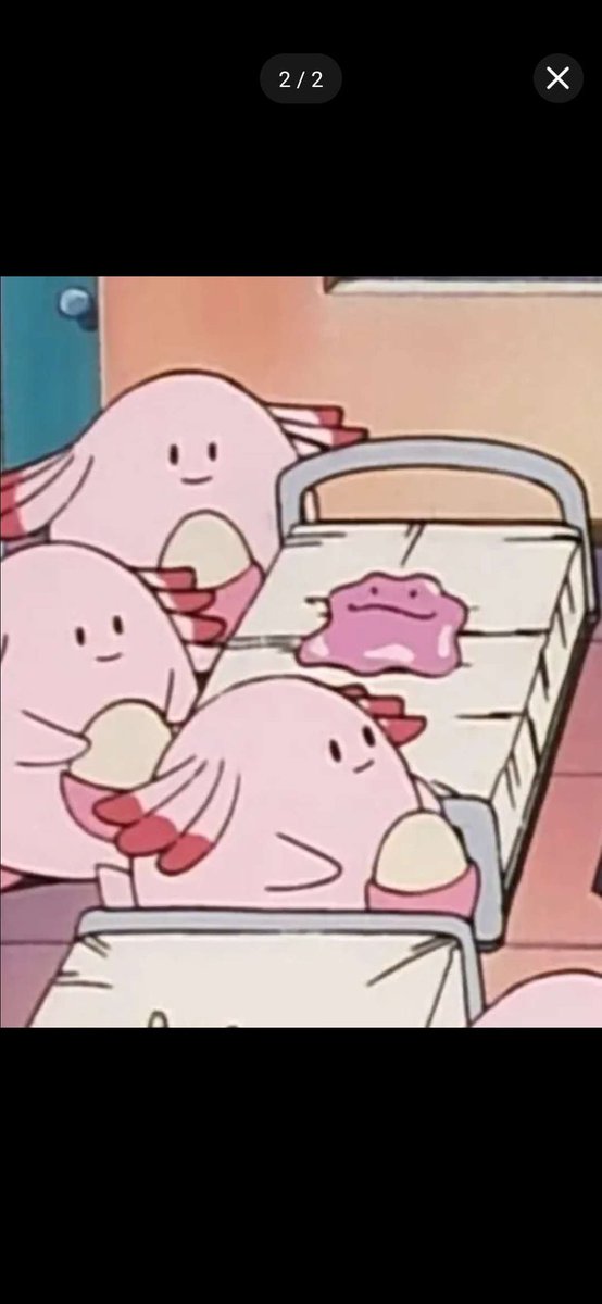 Angelｱﾘｶﾜ🪽 tweet media