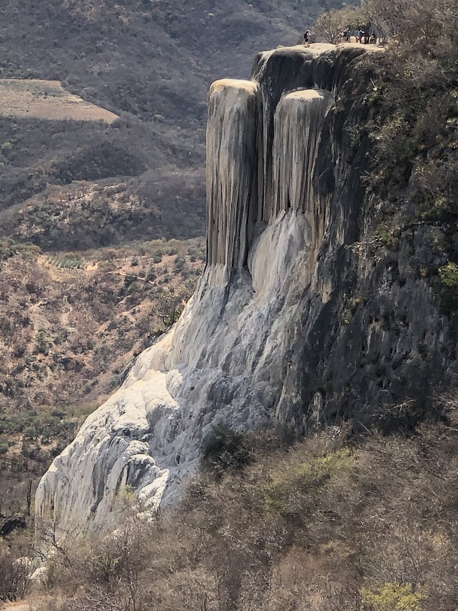 714Finsfan/Vegas degenerate tweet media