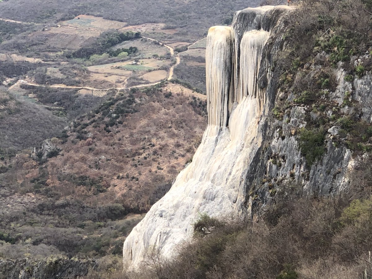 714Finsfan/Vegas degenerate tweet media