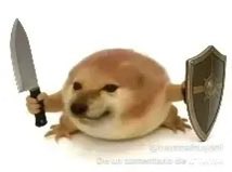 fomo 🧠 tweet media