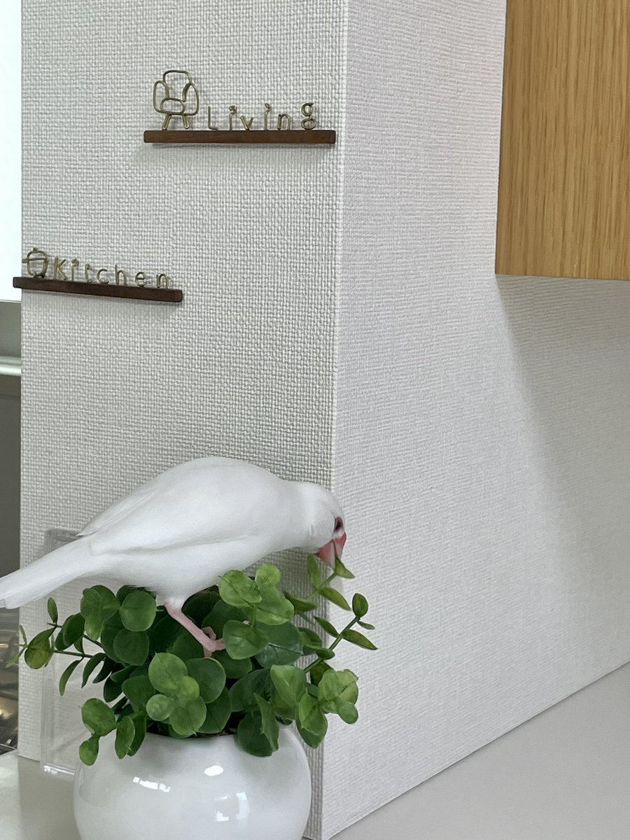 よんちゃ tweet media