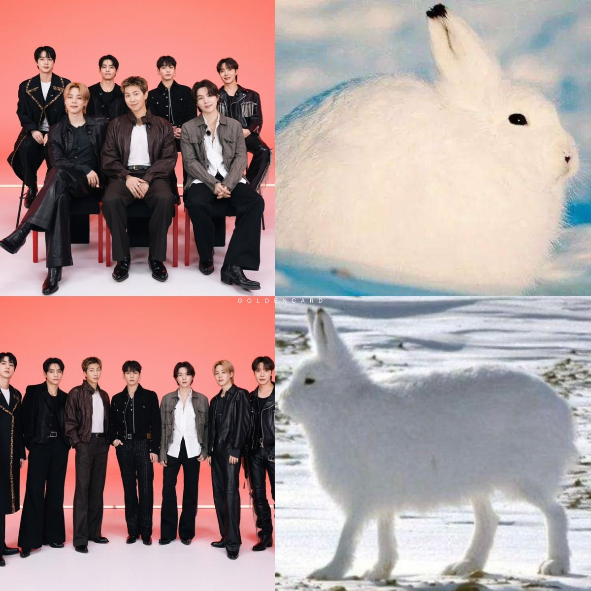 黃金借記卡 :) tweet media