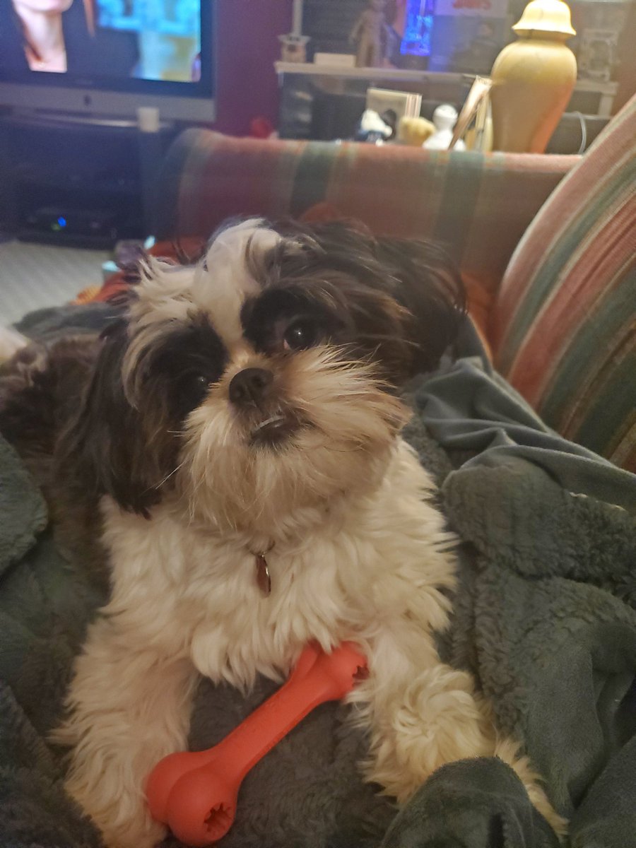 𝗔𝗺𝘆 𝗞𝗼𝘁𝗼, 𝗧𝗩 𝗙𝗮𝗻𝗮𝘁𝗶𝗰 𝗚𝗶𝗿𝗹 tweet media