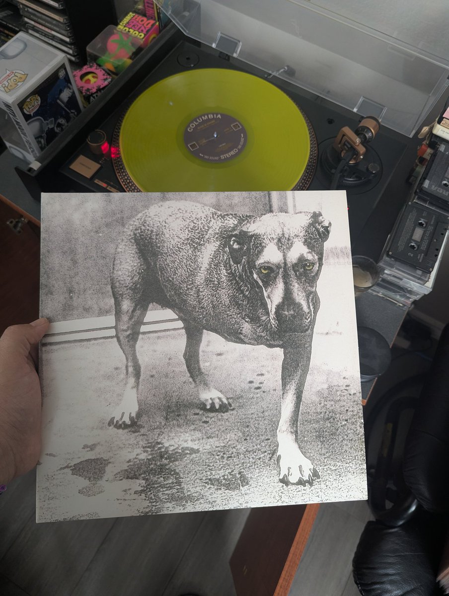 Notorious NIB =Andrew Schroeder tweet media