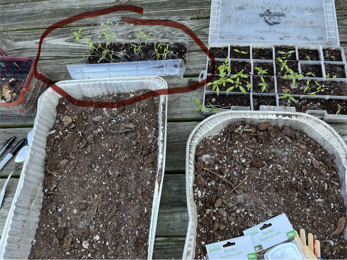 Johnny Bowen tweet media