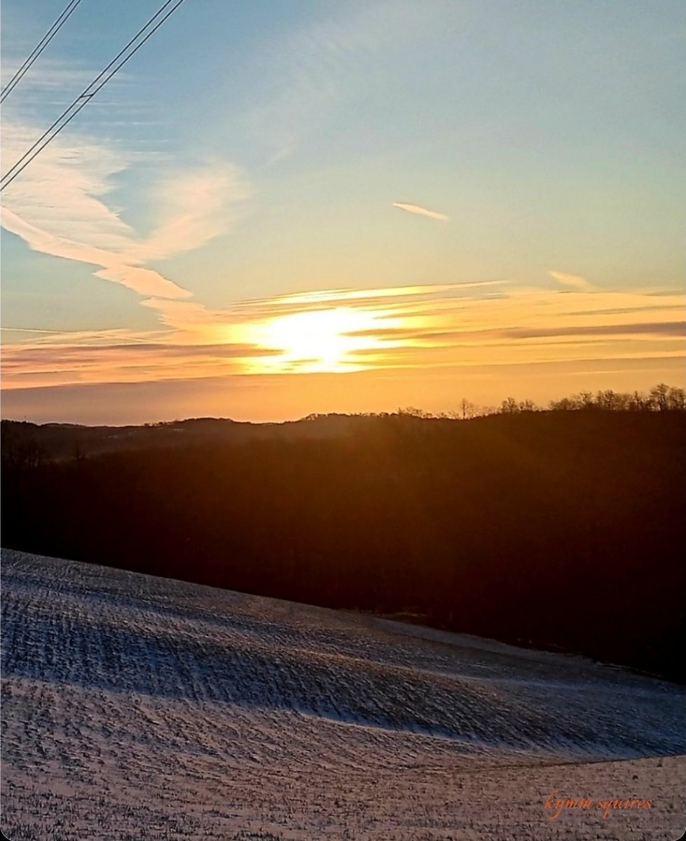 Gordon G. Chang tweet media