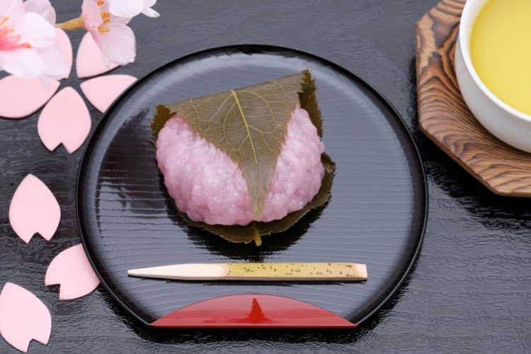 菊池純子 tweet media