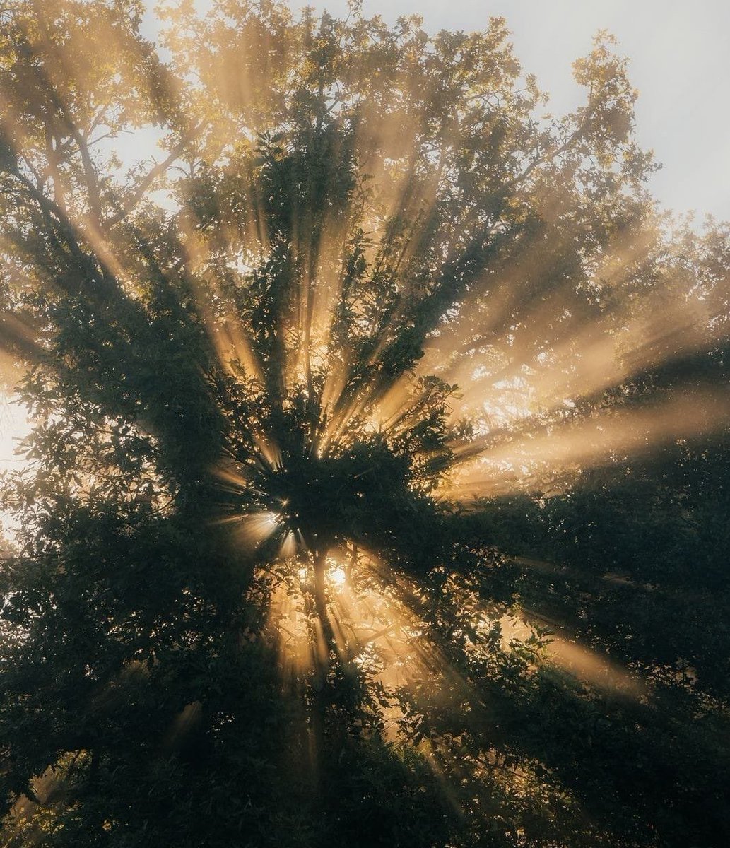 Maldo🚀₿ tweet media