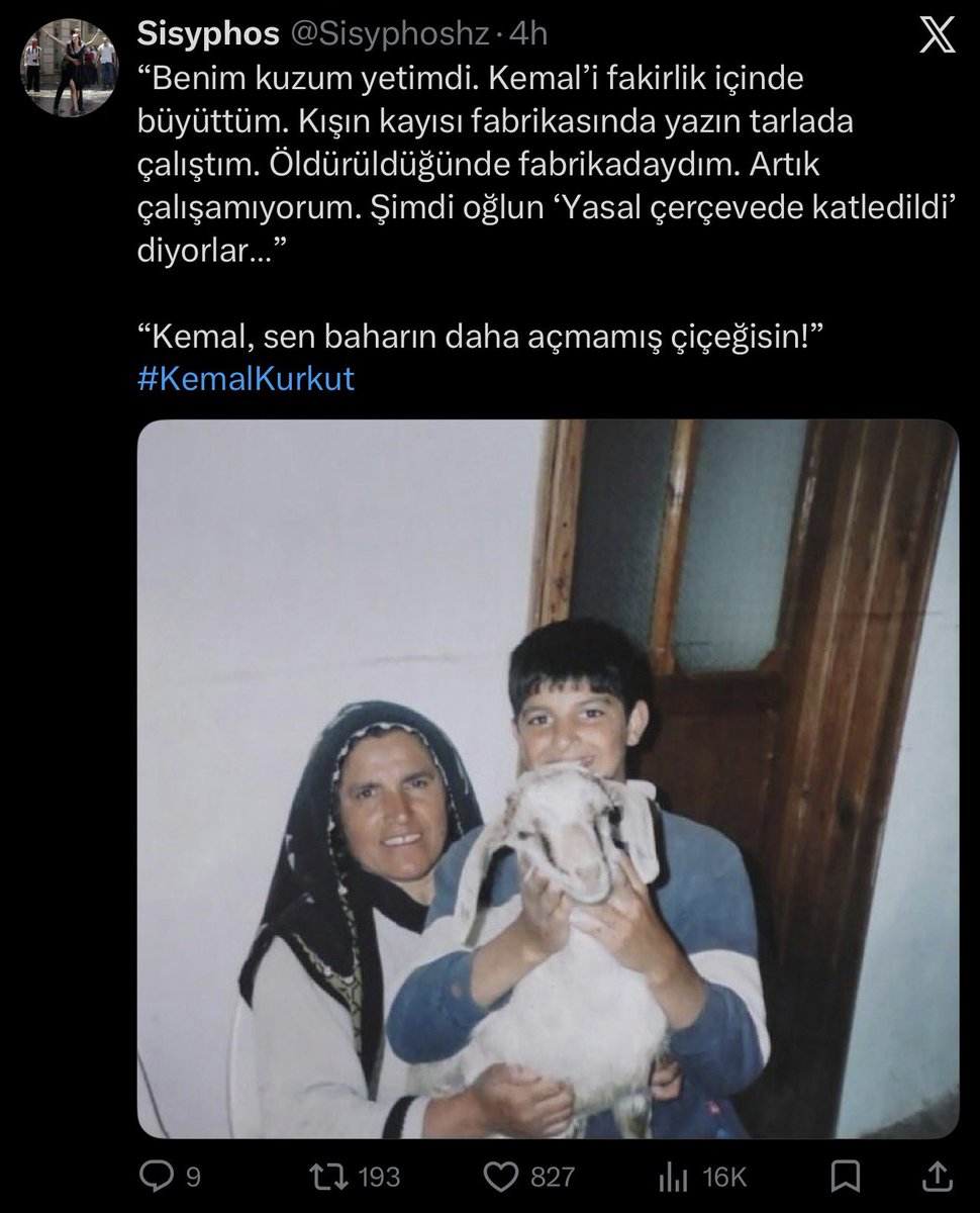 Xarriable tweet media