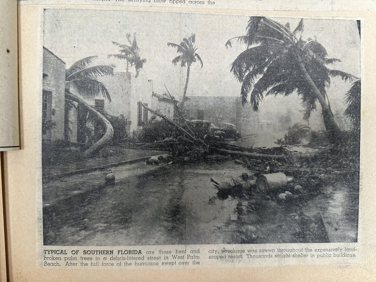 Deelan Jariwala tweet media