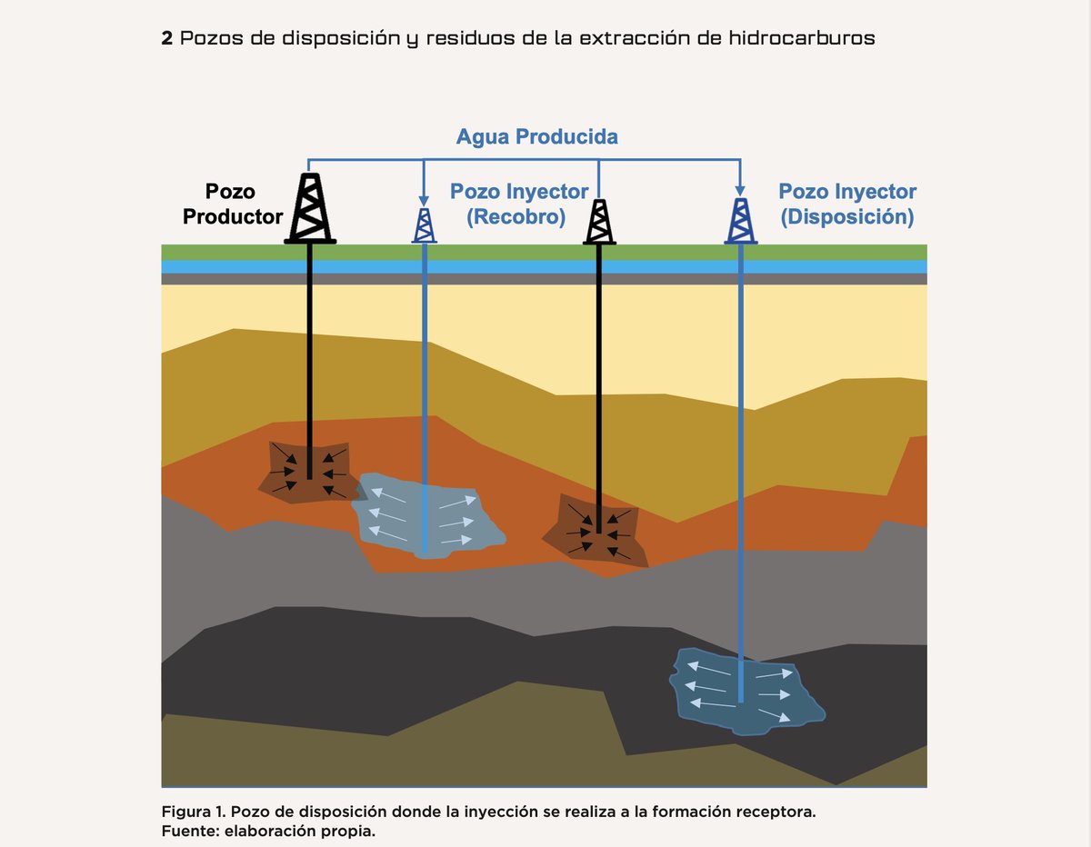 Avispa Mídia tweet media