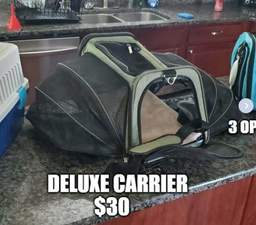 ☾ BasthetRa ☽ tweet media