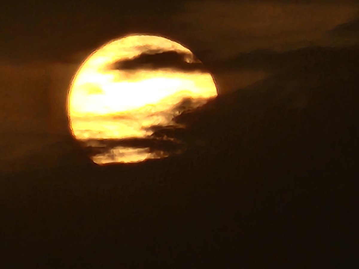 Faisal Syed tweet media