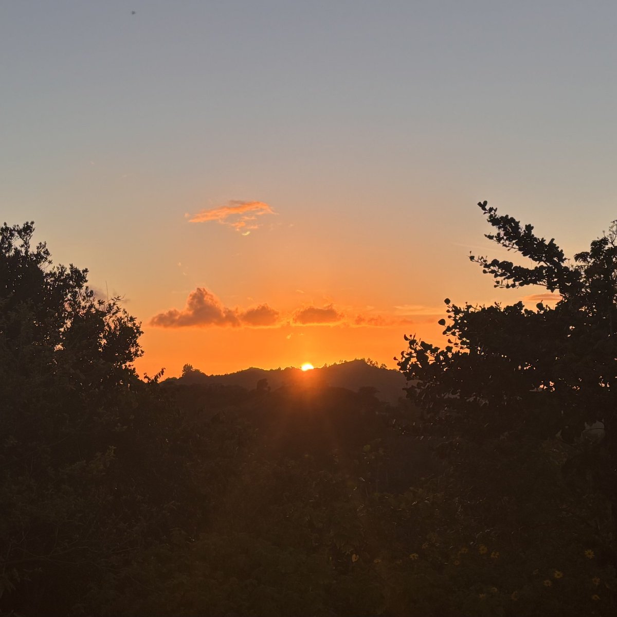 Fernando Aymat 𝕏 tweet media