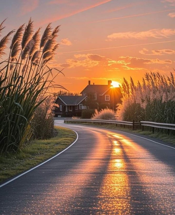 Zahid kh tweet media