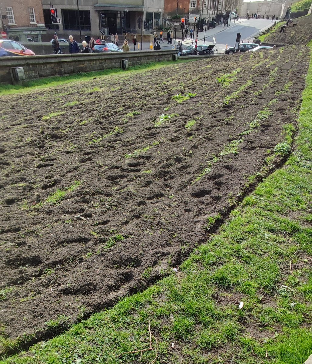 Keith Parkins tweet media