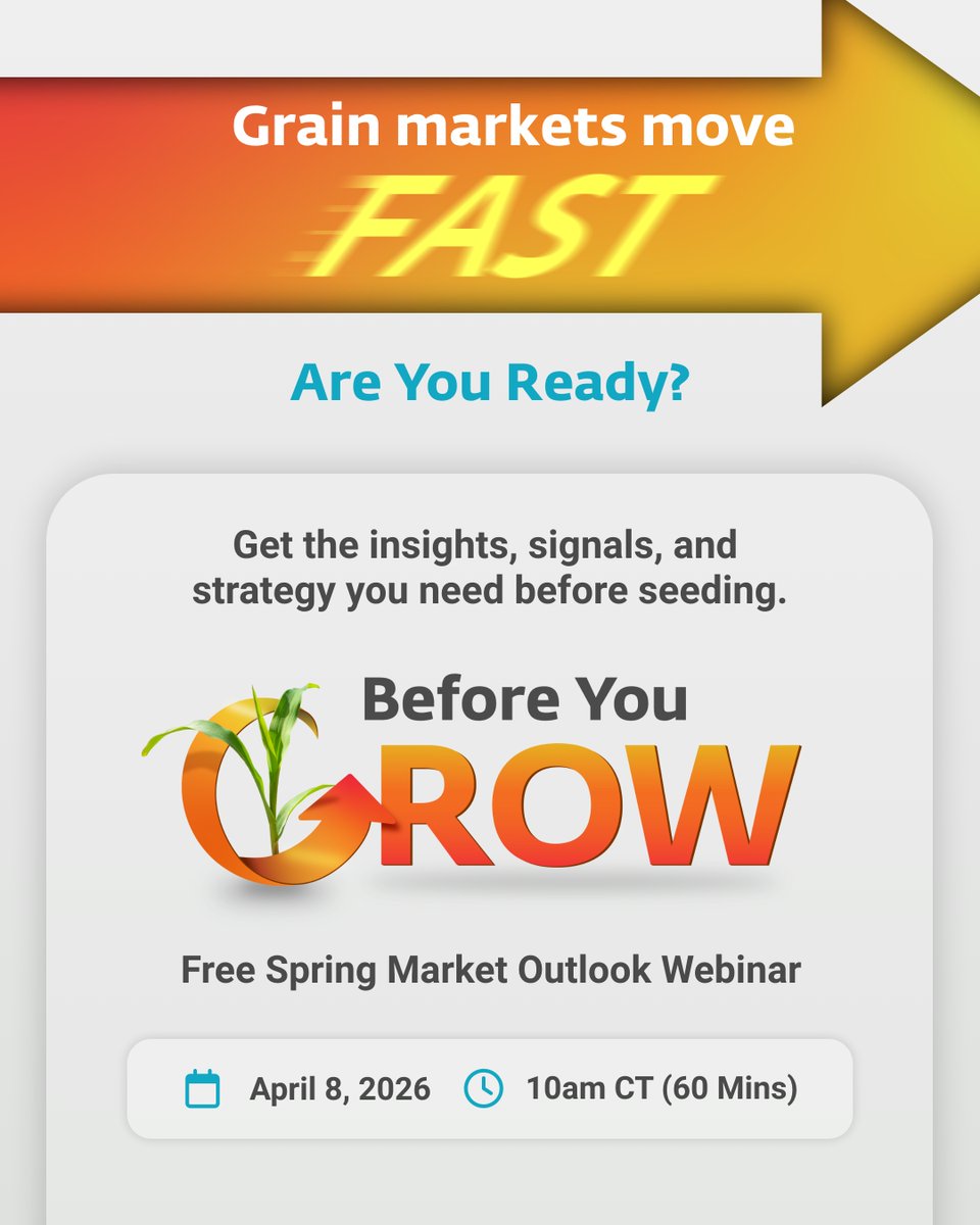 GrainFox tweet media