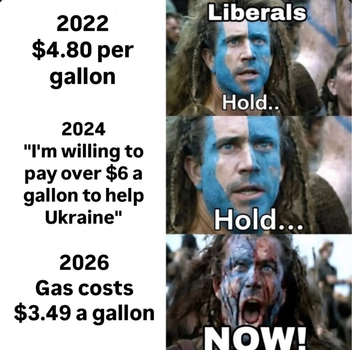 Palmetto State Conservative 🇺🇸🐊 tweet media