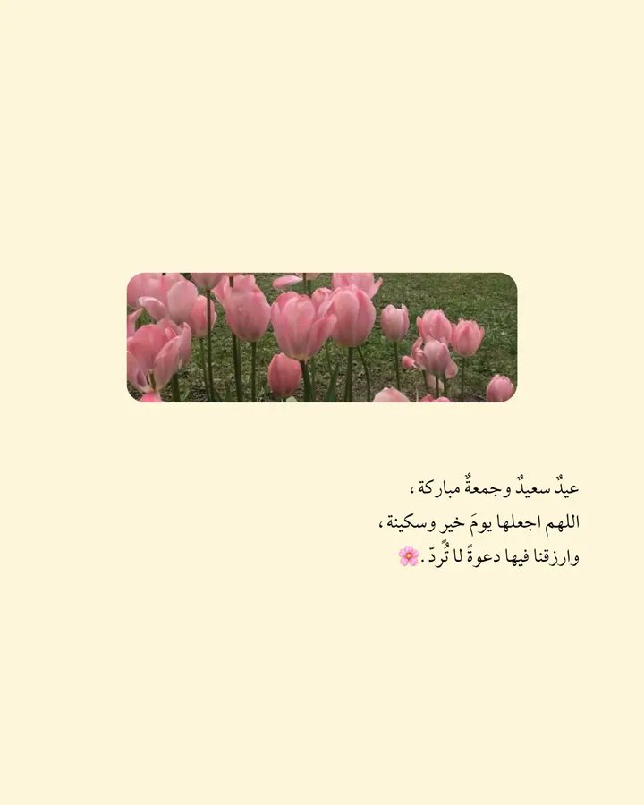 رينٱٱآد🇴🇲 tweet media