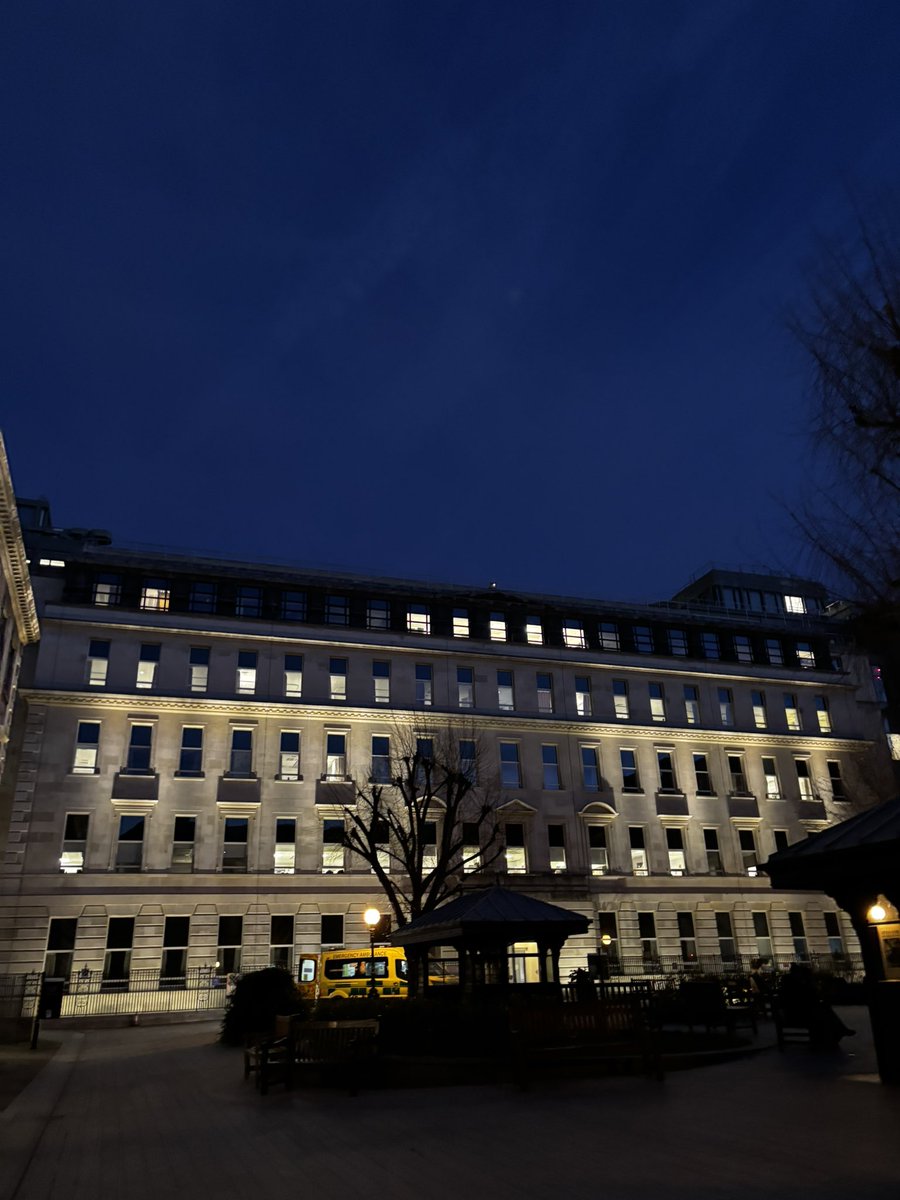 03 🇵🇸 tweet media