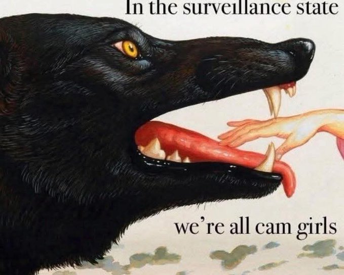 Wolfsinn tweet media