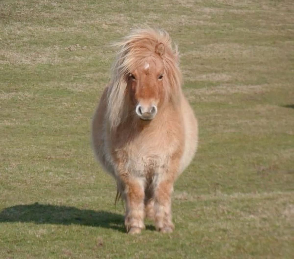 abi ౨ৎ tweet media