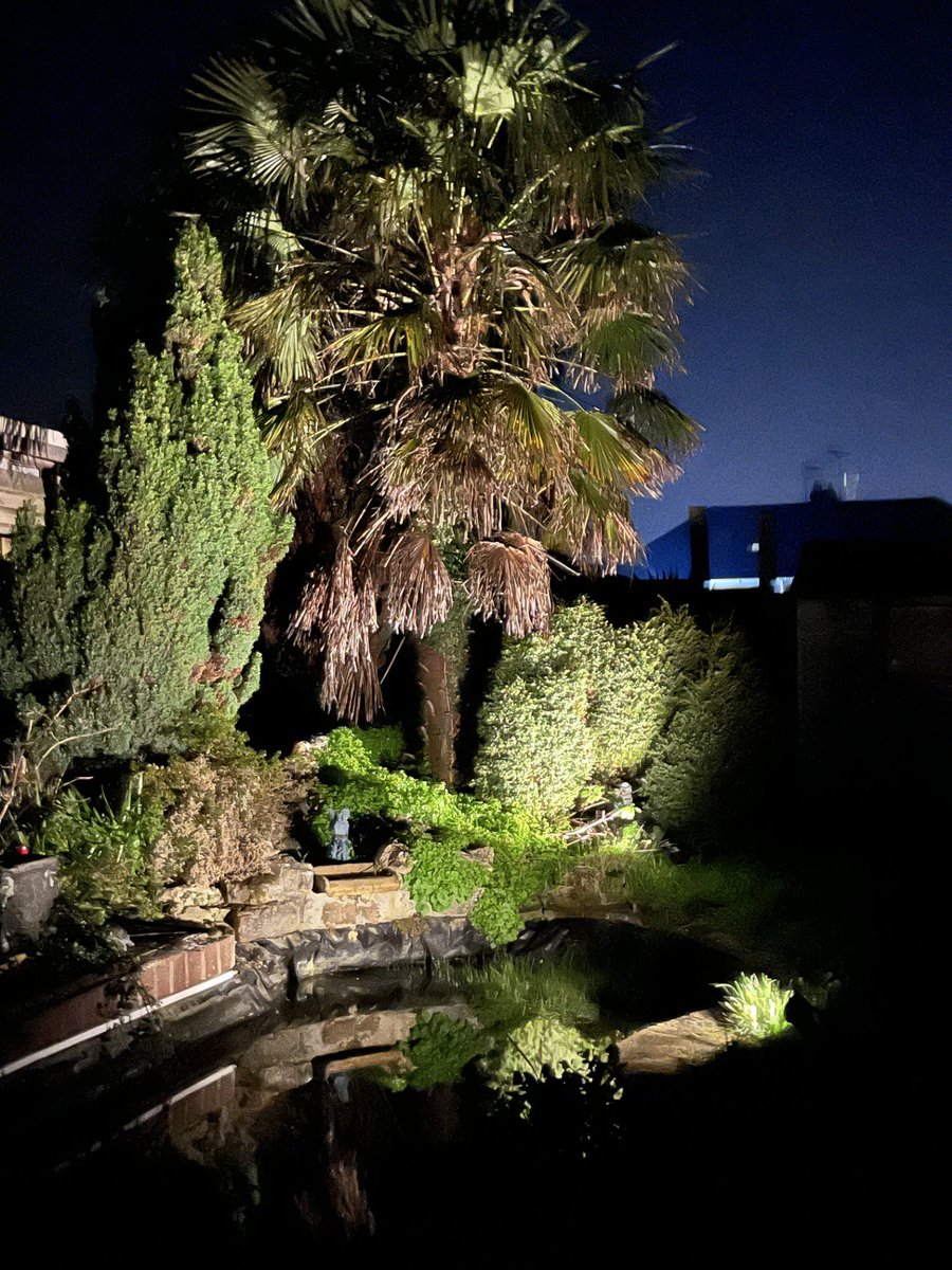 Rozz Games tweet media