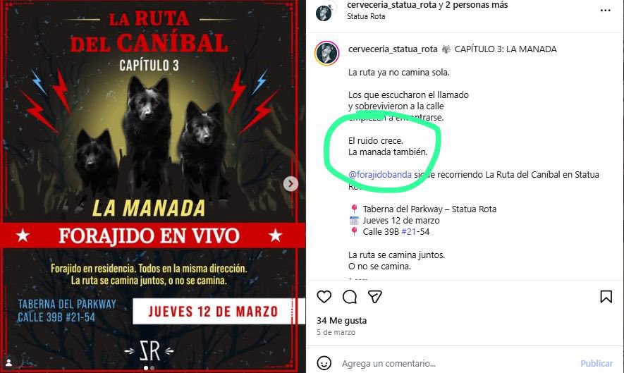 Ana Noguera 💜💚 tweet media