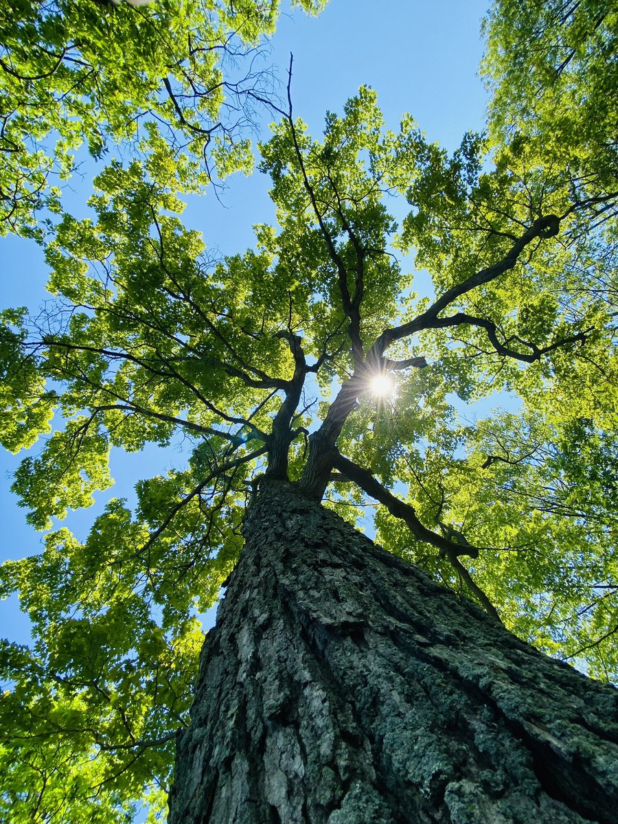 WilliamH17 tweet media