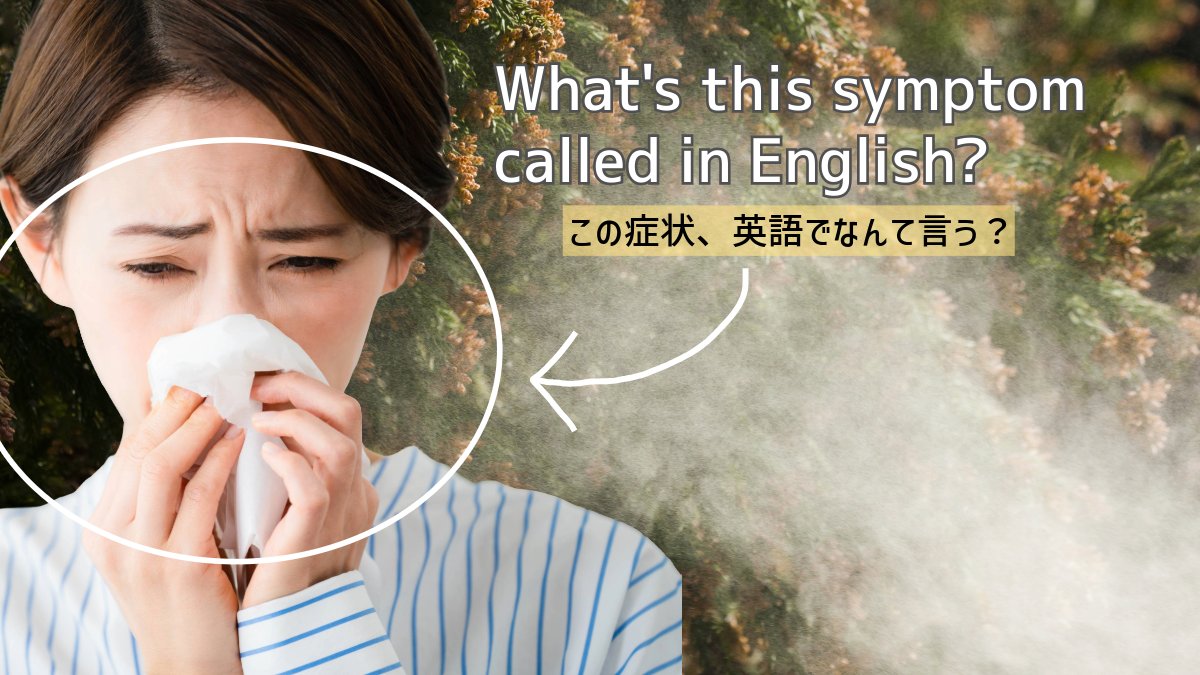 Brighture English Academy|本気の英語学習 tweet media