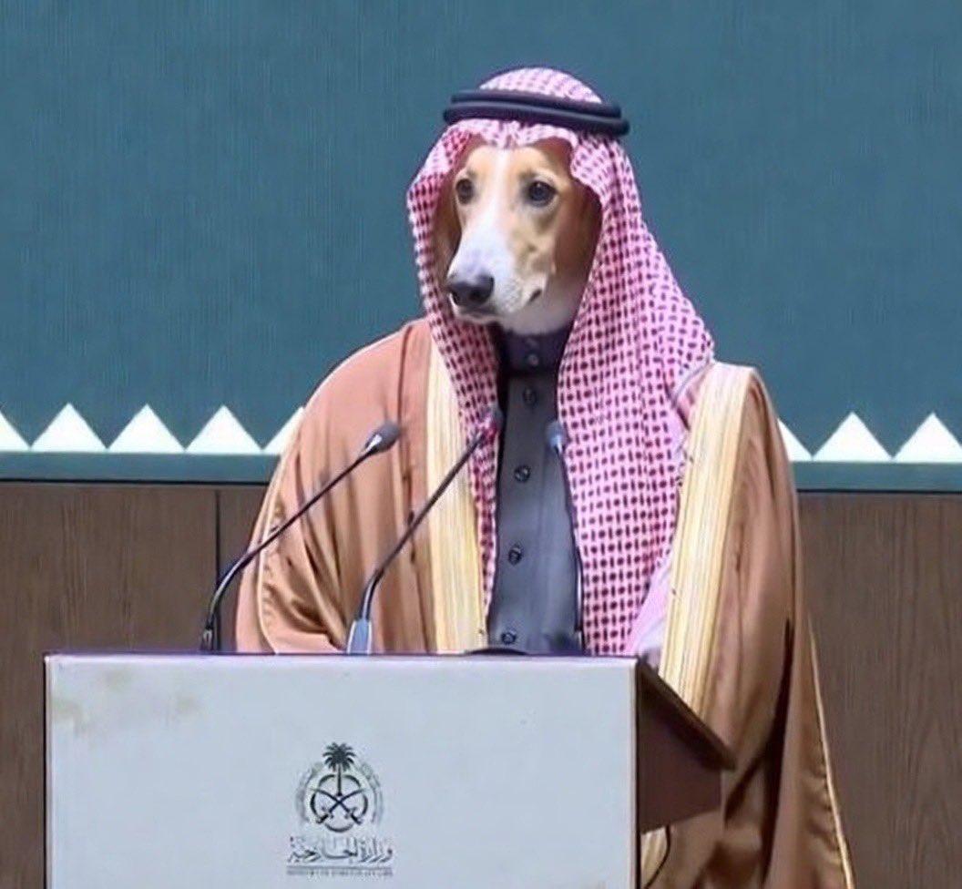 مهند الصبياني tweet media