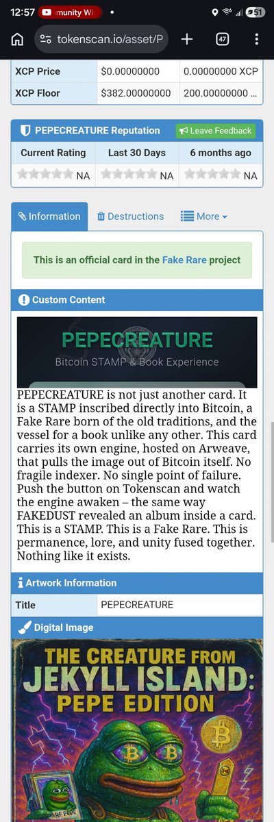 Kane Mayfield 🏴‍☠️ tweet media