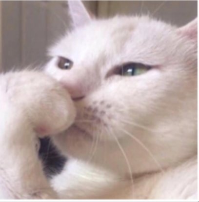 Nayara • ☕ um cafezim pfv tweet media