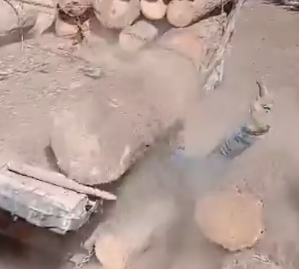 Gif And Let Die l𓁹 𓁹l tweet media