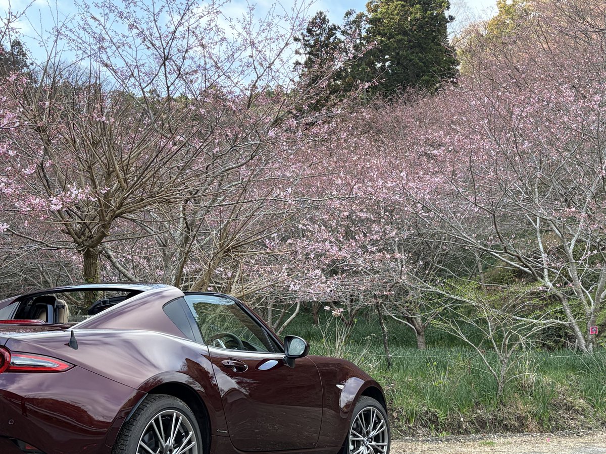 しゃーくれ@35周年車RF tweet media