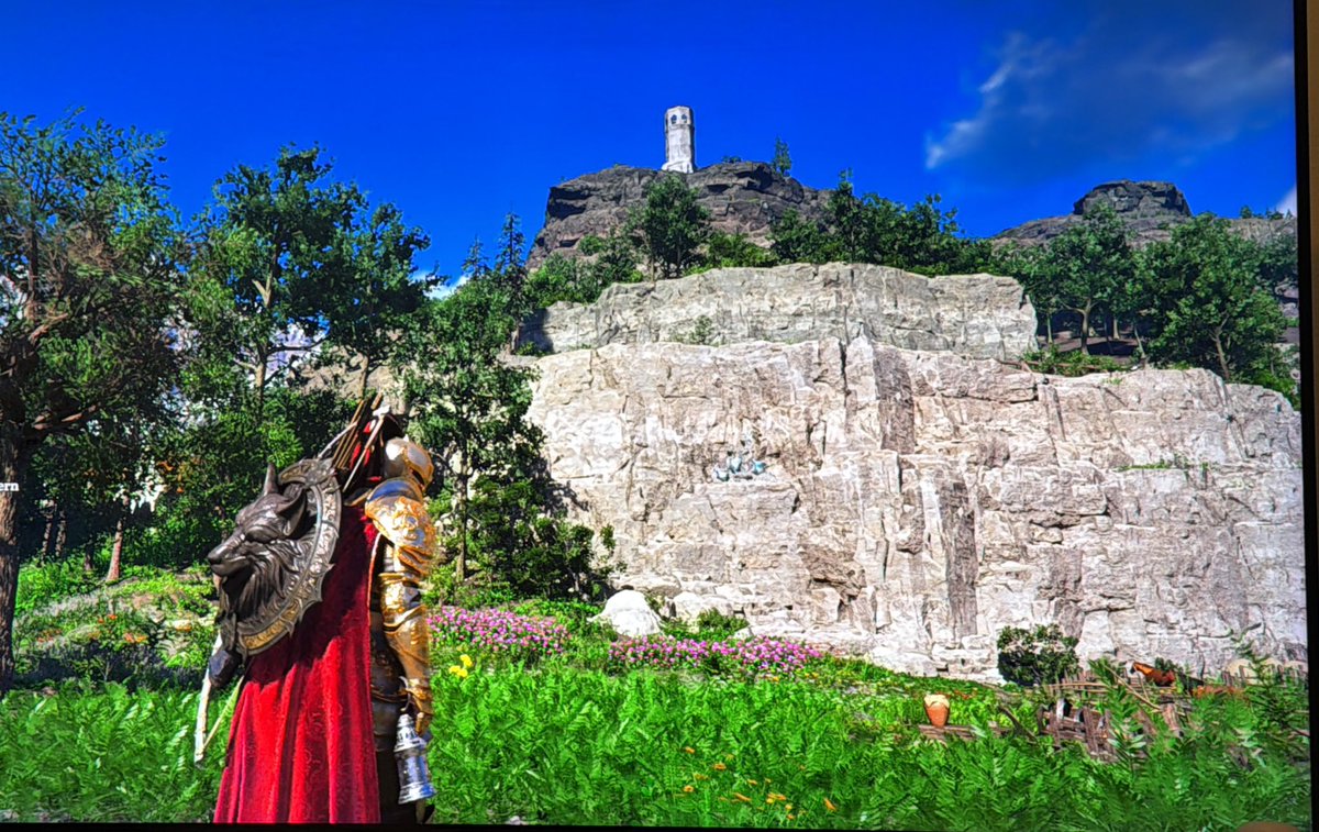 8Bit_Vet tweet media