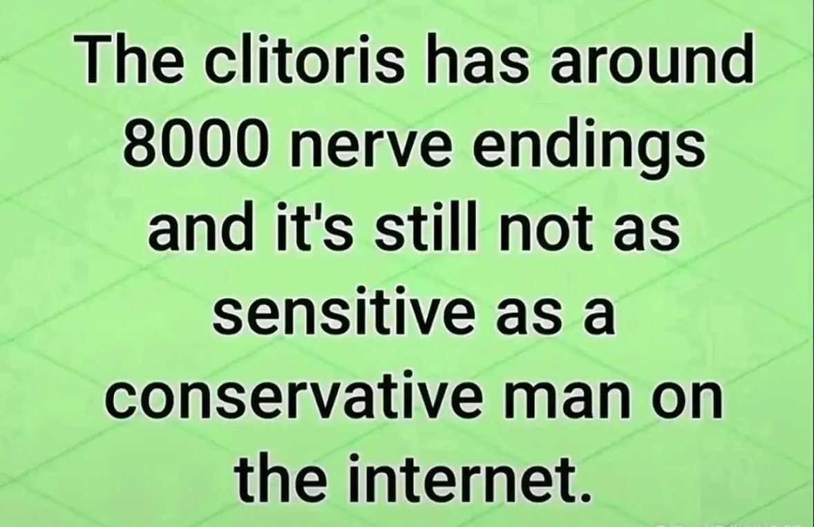 char ౨ৎ tweet media