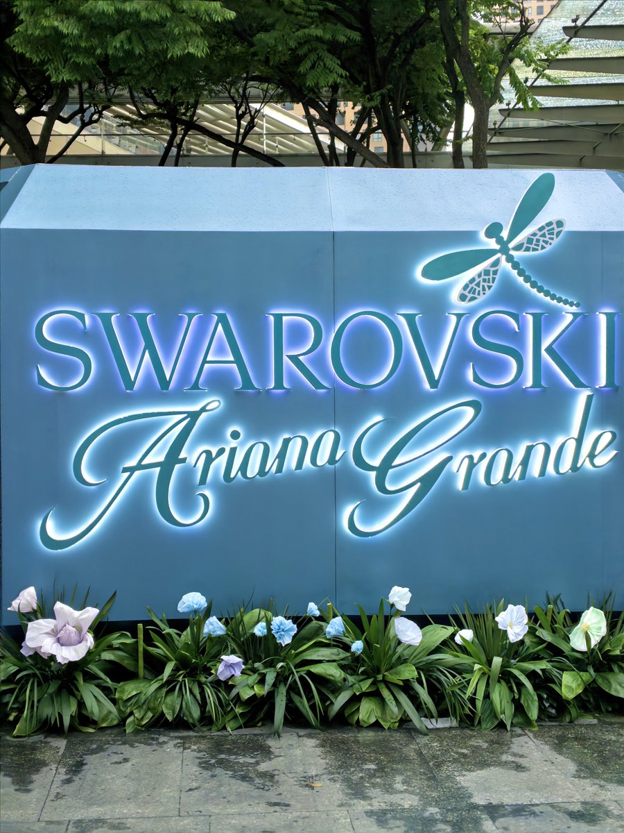 ArianaGMexico's tweet photo. ven a conocer la nueva colección de ariana grande con @swarovski en la pop-up exclusiva enAntara, Polanco 🧚🏻🩵🪷 https://t.co/qd65fdUmhD