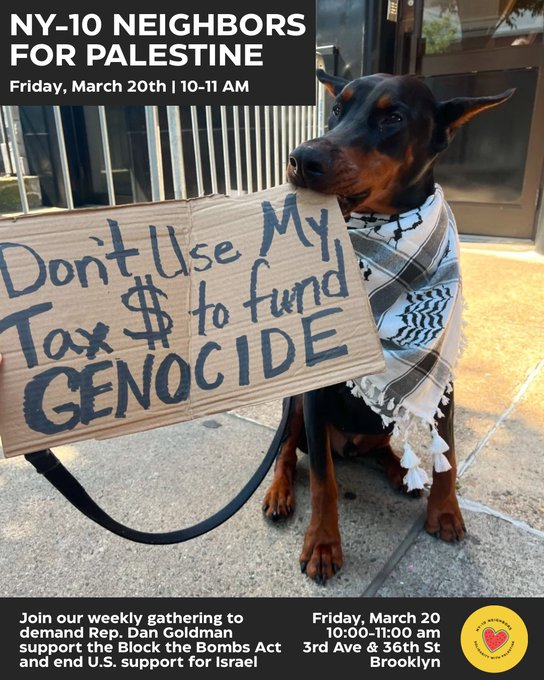 themastarata's tweet image. Today's screencapture contest: @who can get closest ears all in shot? I'll go first - trust - in ain't easy - the quick brown fox about to jump over the lazy #dogsofwar - sorry x.com/NY10Neighbors/… u been #israeled -